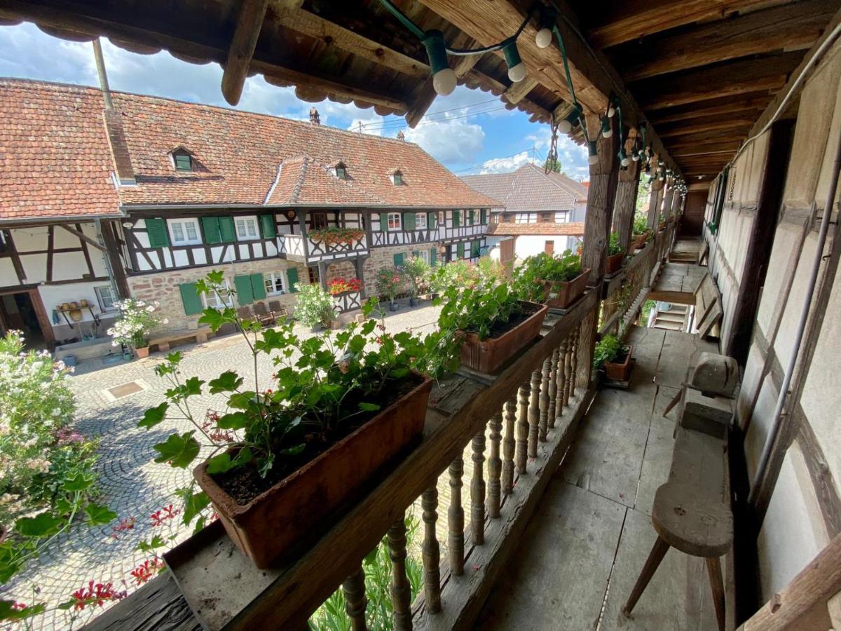 Chambres D'Hotes De Charme A La Ferme Freysz Quatzenheim Exteriör bild