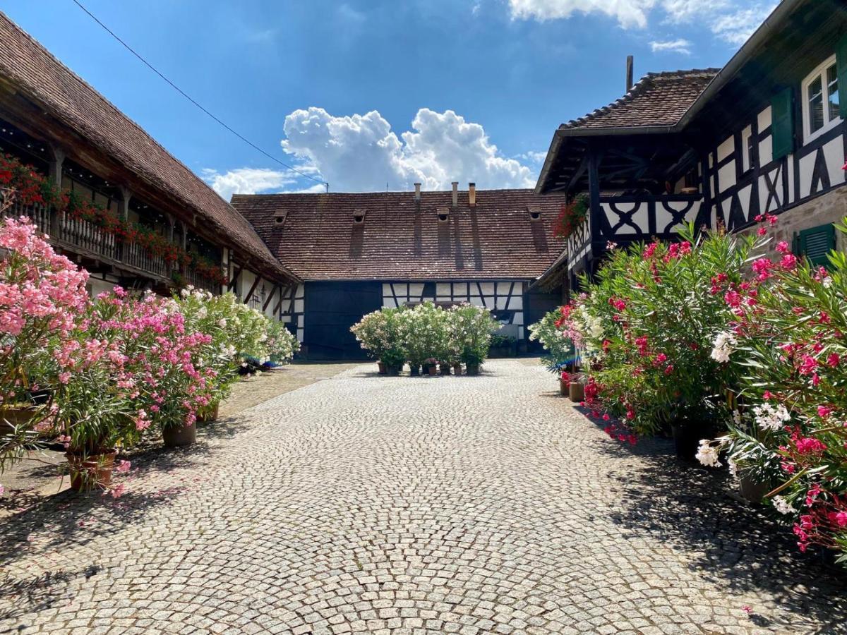 Chambres D'Hotes De Charme A La Ferme Freysz Quatzenheim Exteriör bild
