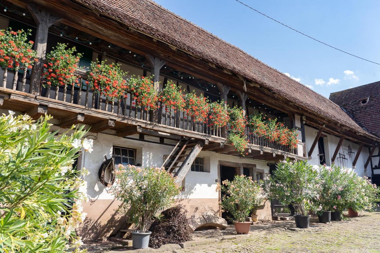 Chambres D'Hotes De Charme A La Ferme Freysz Quatzenheim Exteriör bild