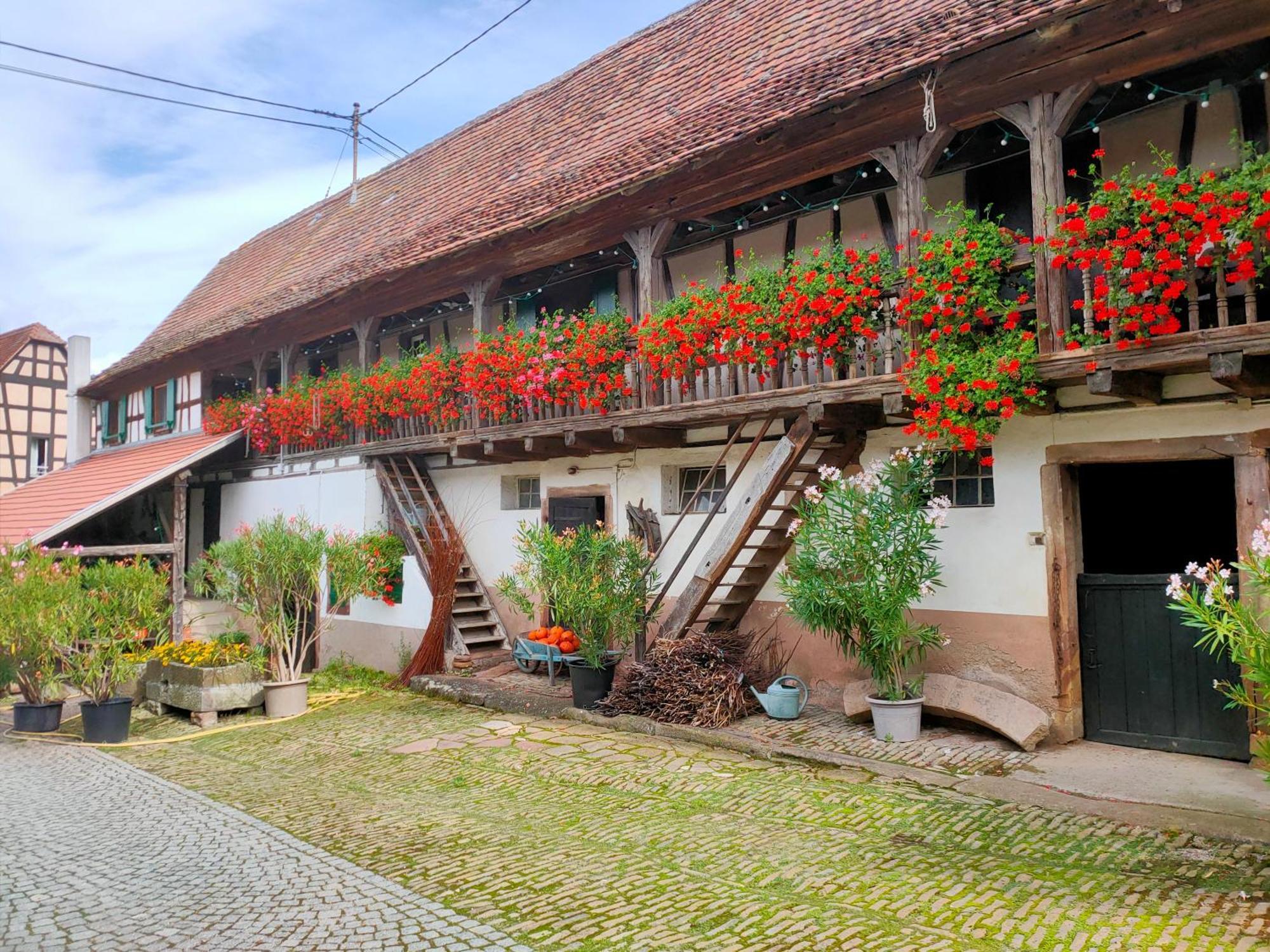 Chambres D'Hotes De Charme A La Ferme Freysz Quatzenheim Exteriör bild